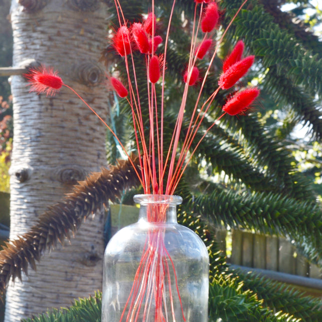 Clear Apothecary Glass Vase
