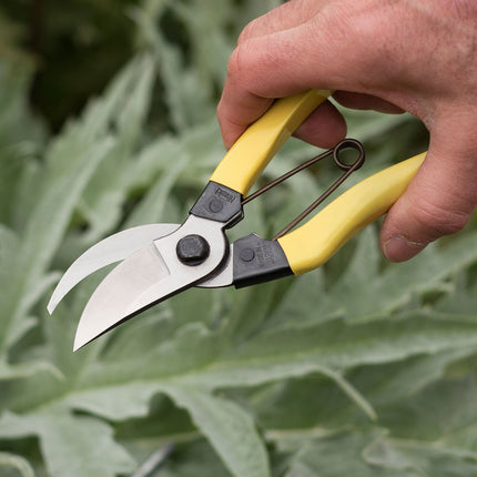 Classic Garden Tool Kit