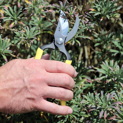 Niwaki GR Pro Secateurs