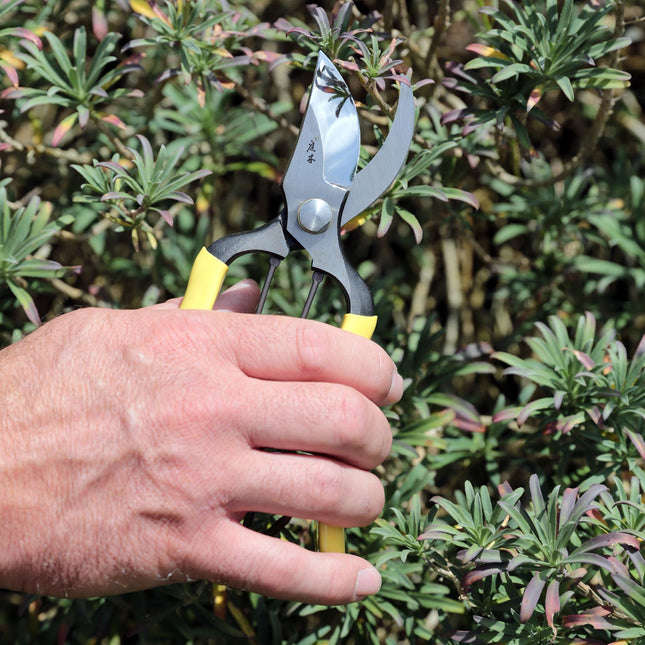 Niwaki GR Pro Secateurs