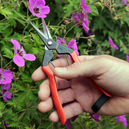 Classic Garden Tool Kit