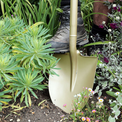 Niwaki Golden Spade