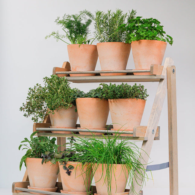 Aldsworth Plant Stand