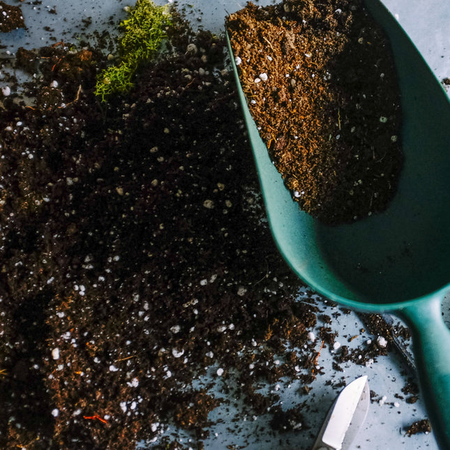 Peat Free Compost - 40L - Wide Border