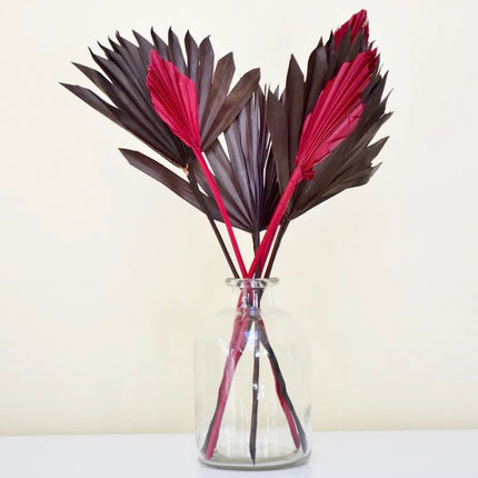 Clear Apothecary Glass Vase