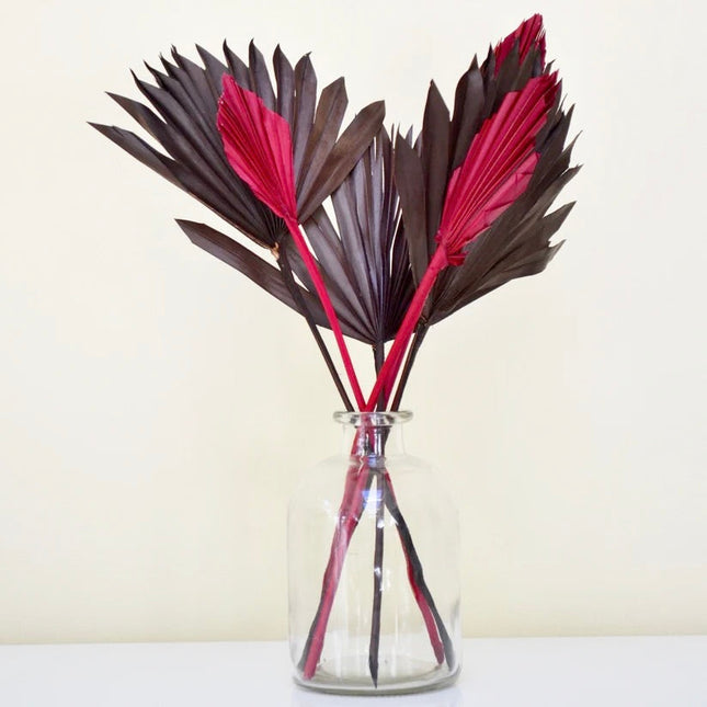 Clear Apothecary Glass Vase